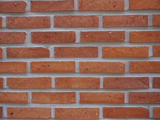 Outside Building Wall Size 240x52x20mm Old Brick Slips With Red Colors